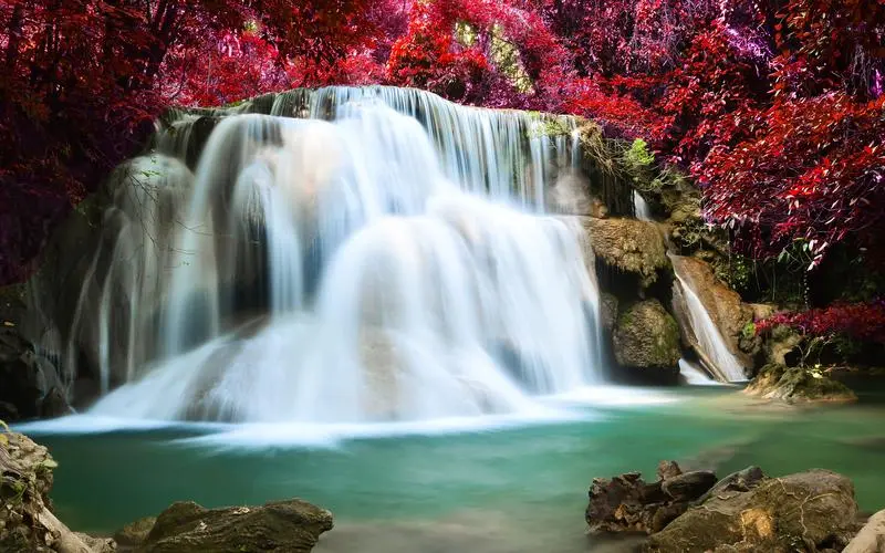 高端高端